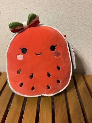 wanda the watermelon squishmallow description
